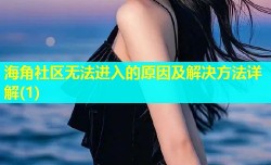 海角社区无法进入的原因及解决方法详解(1)