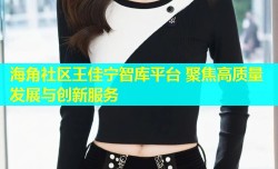 海角社区王佳宁智库平台 聚焦高质量发展与创新服务