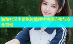 海角社区小钢炮智能硬件快速连接与安全管理