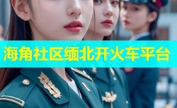 海角社区缅北开火车平台